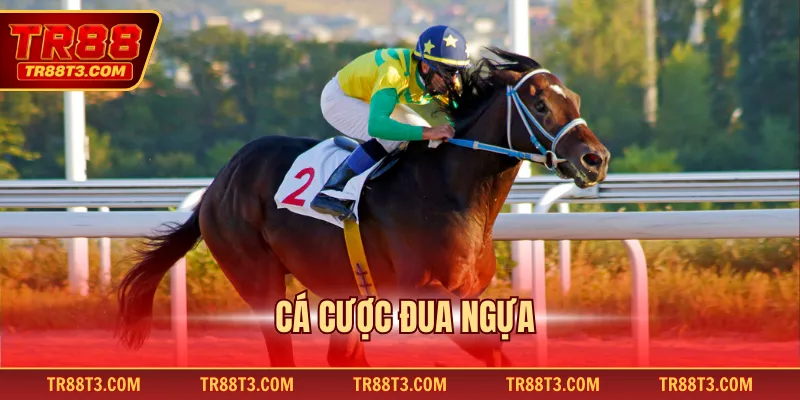 Cá cược đua ngựa