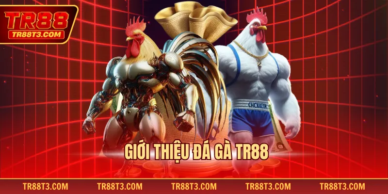 Giới thiệu đá gà TR88