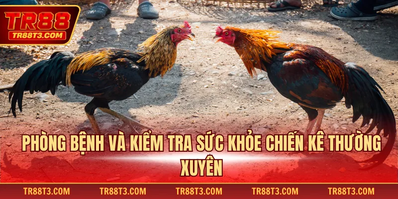 Phòng bệnh và kiểm tra sức khỏe chiến kê thường xuyên