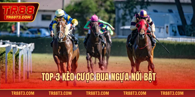Top 3 kèo cược đua ngựa nổi bật